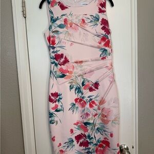Calvin Klein Floral Pink Dress